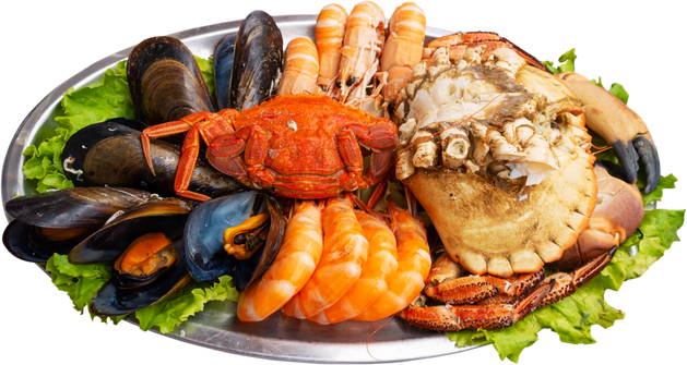 Seafood plate isolated png